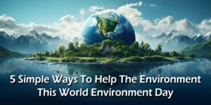 5 Simple Ways To Help The Environment This World Environment Day